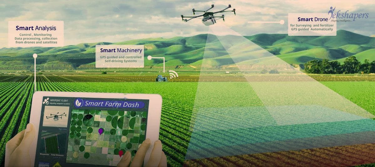 AI in Agriculture and Precision Farming - SO Development