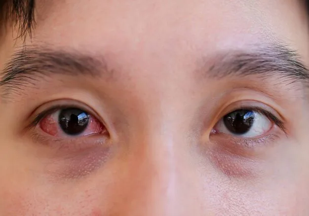 眼部疾病分类