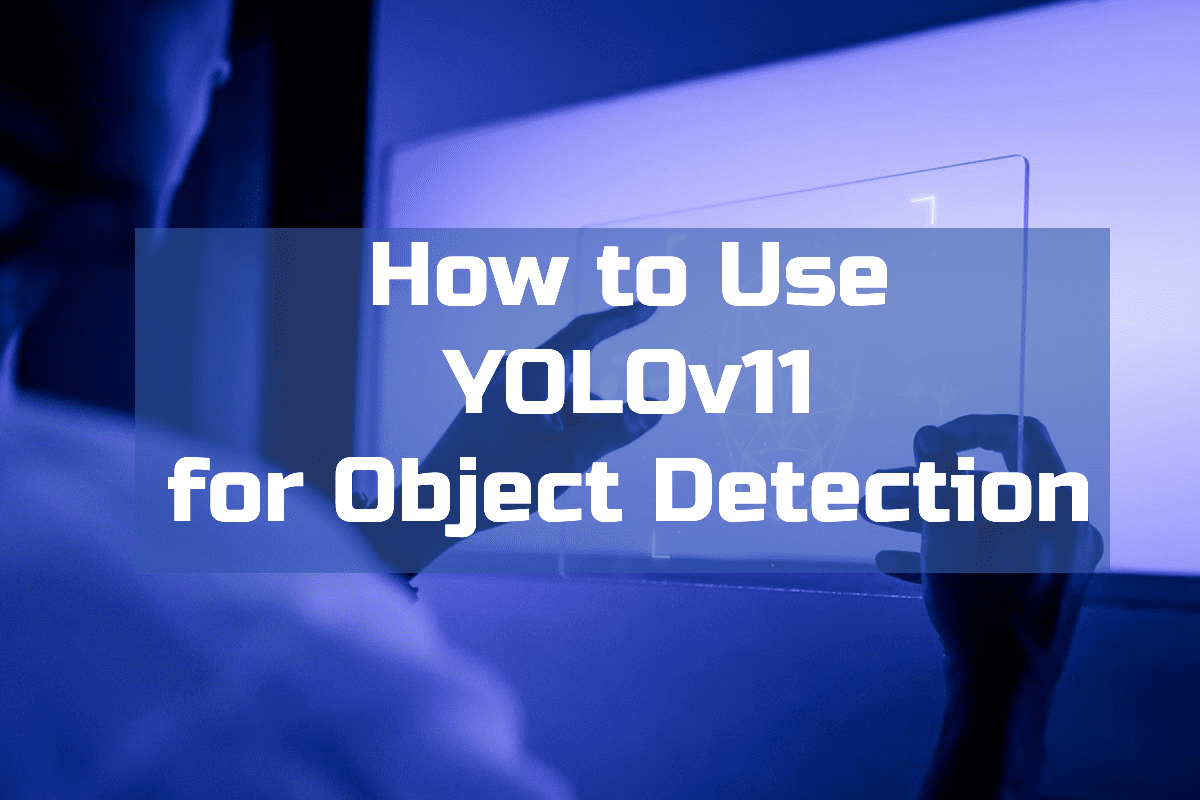 YOLOv11 for Object Detection