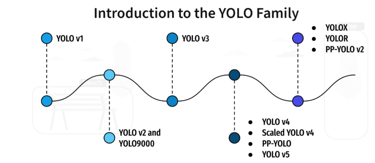 The YOLO Revolution