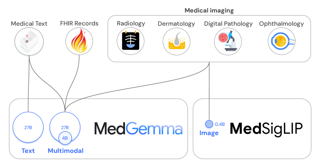 MedGemma