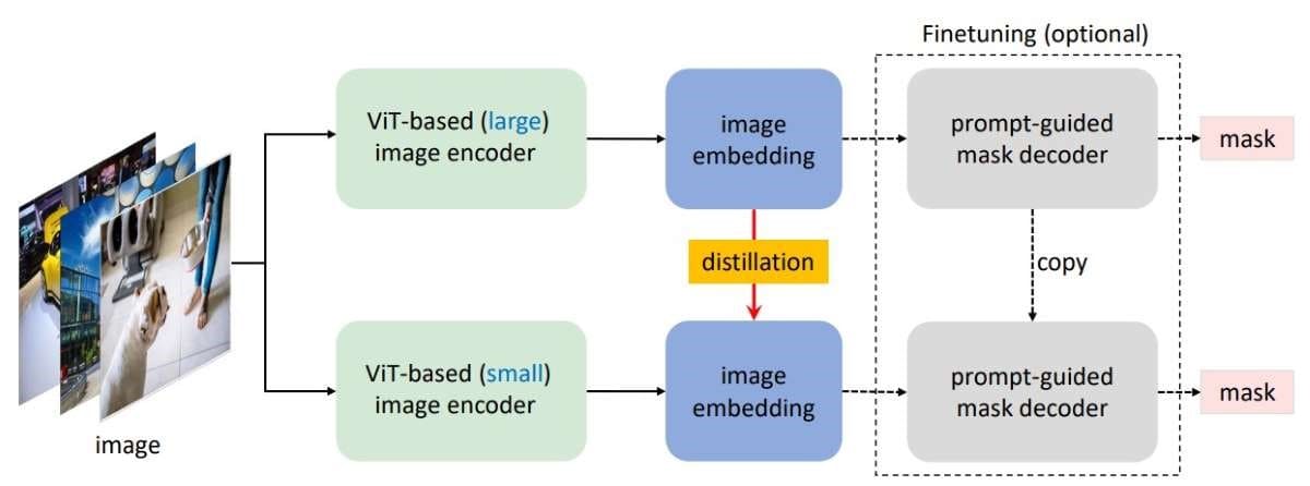 How MobileSAM Works