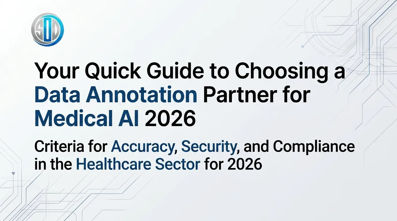 A Guide to Choose a Data Annotation Partner for Healthcare AI Teams