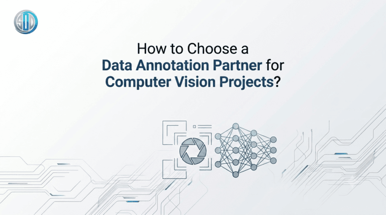 How to Choose a Data Annotation Partner for Computer Vision Projects?