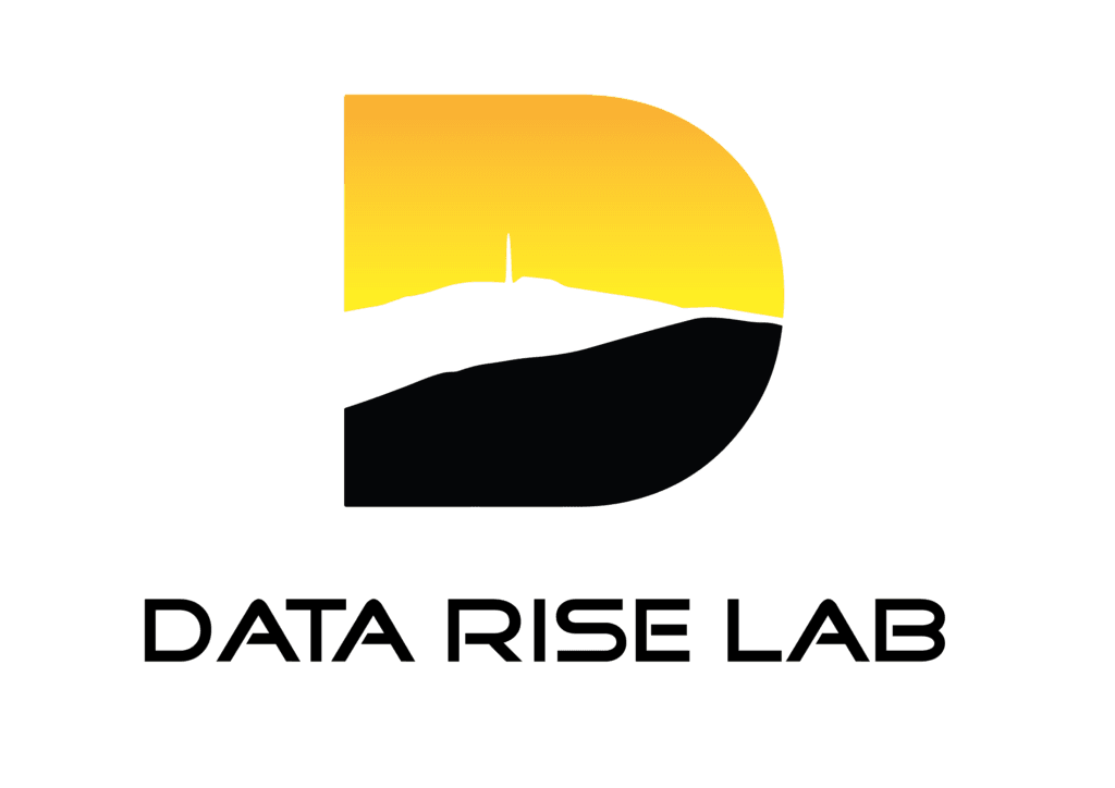 Logo Data Rise Lab