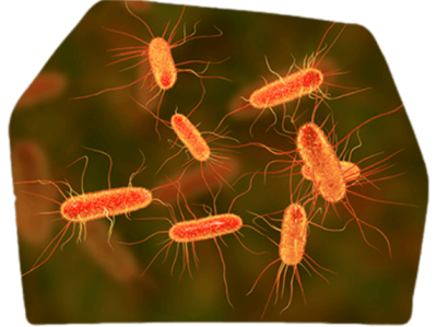 Disease-Specific Datasets Disease-Specific Datasets